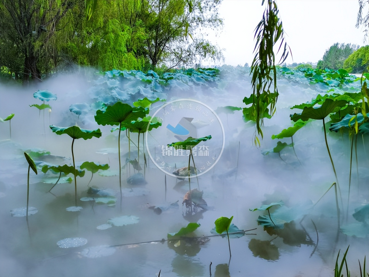 人造雾景观设计营造沉浸式游园体验,唤醒健康与美丽——jinnian金年会 人造雾景观设计营造沉浸式游园体验,唤醒健康与美丽——jinnian金年会